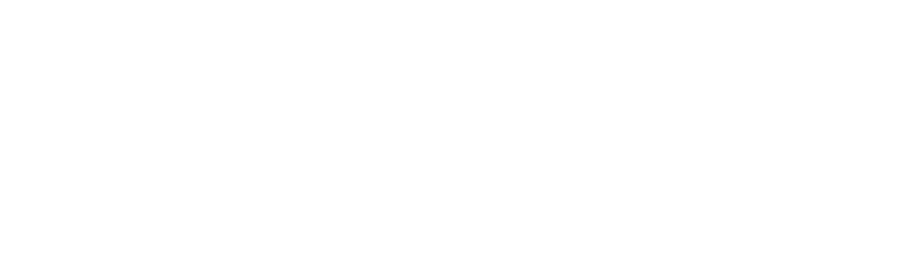 FG TELECOM